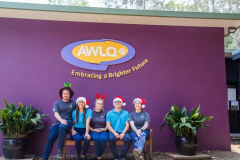 End of Year Campaign with Animal Welfare League Queensland (AWLQ)